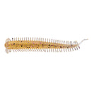 Berkley Powerbait 2.5 Inch Sandworm