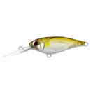 Daiwa Infeet Kodachi 40SF