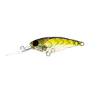 Daiwa Infeet Kodachi 40SF