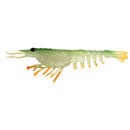 Nomad Switcher Shrimp 3.5 Inch