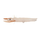 Jackson Ebi Panic 70