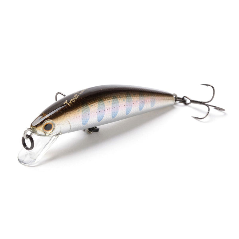 Jackson Trout Tune 55S