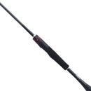 Shimano Zodias Rod